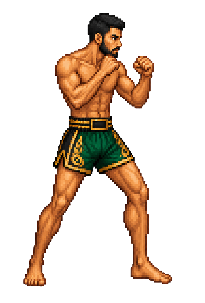 AMIR ZOLFI pixel sprite