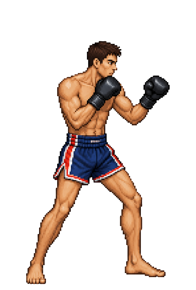 RÉMI PARRA pixel sprite